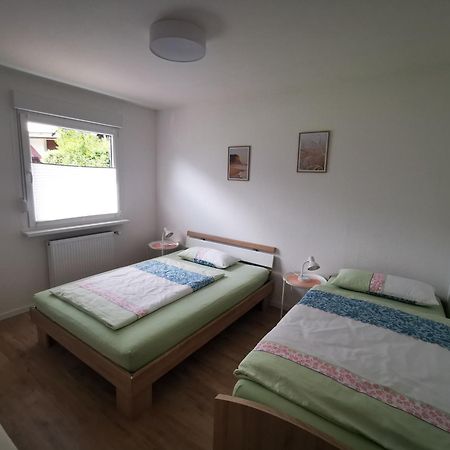 Ferienwohnung Blick Rappenstein Hausen am Tann Exterior foto