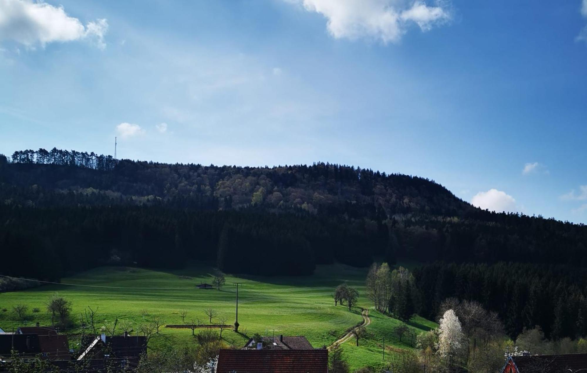Ferienwohnung Blick Rappenstein Hausen am Tann Exterior foto